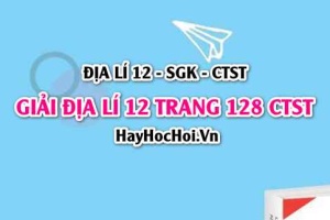 Giải Địa lí 12 trang 128 Chân trời sáng tạo SGK